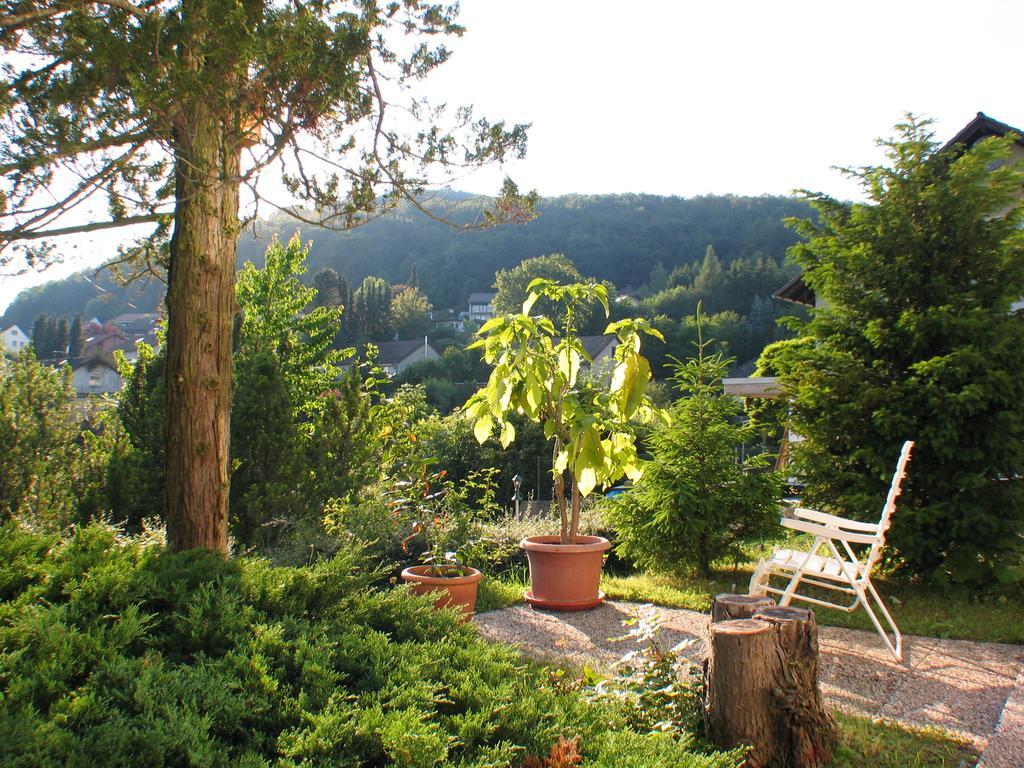 Ferienwohnung In Waldrandlage Zierenberg Zewnętrze zdjęcie